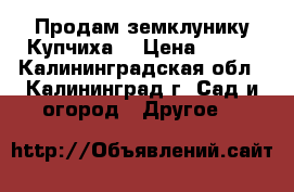 Продам земклунику Купчиха. › Цена ­ 100 - Калининградская обл., Калининград г. Сад и огород » Другое   